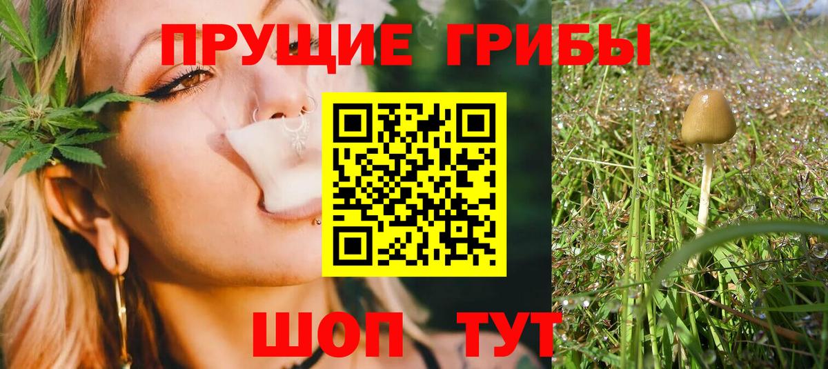 Псилоцибиновые грибы MAGIC MUSHROOMS Сочи
