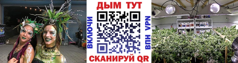 omg ТОР Сочи Марихуана OG Kush